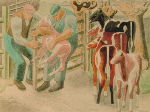 Inspecting the Calves
