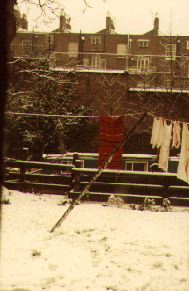 The 
washing-line